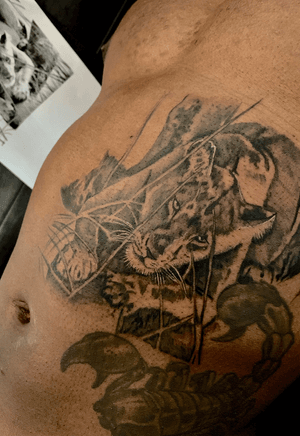  #lion #jungle #blackandgrey #blackandgreytattoo #shading #ink #tattooartist 