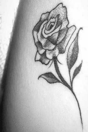 #blackandgrey #rose #rosas #womantattoo #sexytattoogirl 