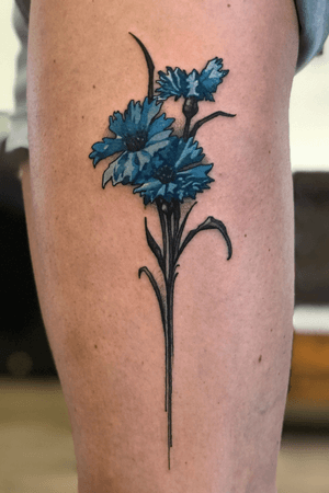 VASILYOK #knapweed #cornflower #flower #fieldwlower #blueandgrey
