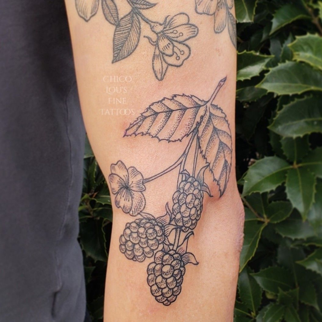 Blackberries by Bri Howard TattooNOW
