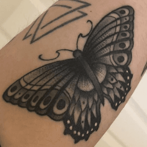 #moth #butterfly 