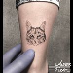 #cat #kitten #minimal #tattoo #linework #tattooartist #tattooidea #art #tattooart #tattoooftheday #tattoostagram #ink #inked #customtattoo #customdesign #tattooist #crosshatching #dotwork #savemyink #tattooisartmag #tattoo_artwork #tattoo_art_worldwide #alperfıratlı #linework #microtattoo