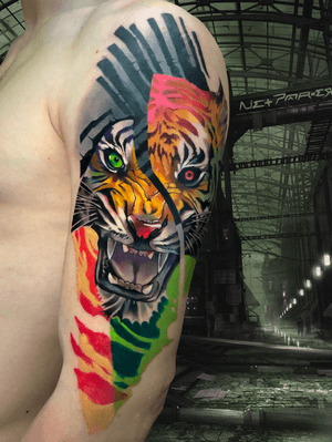 #tigre #tiger #color #surrealistic 
