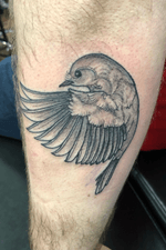Fun lil bird. #tattoo #cincinnati #bird #blackandgrey #cute #stippling #besttattoos #tattoooftheday #booksopen #ohioink #freshtattoos 