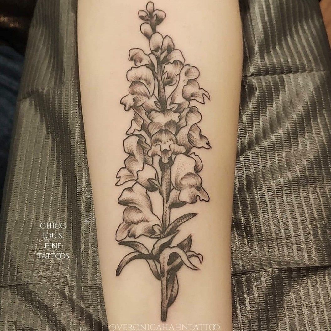 Snapdragon Tattoos Symbolism Meanings and More
