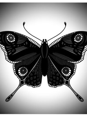 #blackandgrey #blackandgreytattoo #butterfly #blackwork 