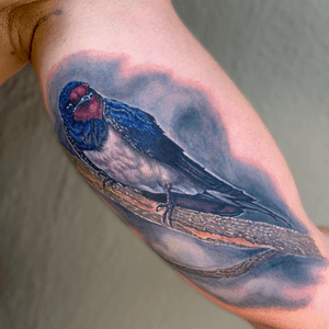 Had so much fun tattooing this barn swallow yesterday hope you folks enjoy it!