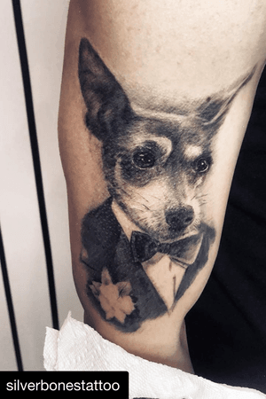 Cool little guy from the other night. #pet #dogsofinstagram #dog #mansbestfriend #cute #tattoo #tattooideas #tatt #tattooed #tatted #tattooistartmag #tattooing #inktober #ink #inktober2018 #inkedgirls #inked #inkedlife #inkaddict #vancouver #vancouverisland #vancity #vanlife #westcoast #silverbonestattoo #newshop #mainstreet #dogwithcharacter #tatuajes #blackandgreytattoo