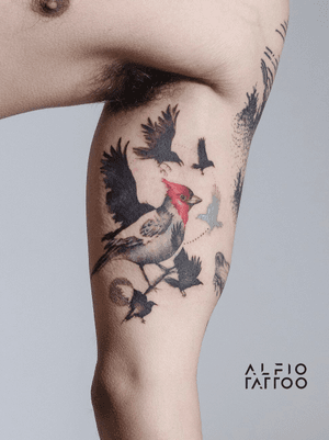 https://www.instagram.com/alfio_tattoo/ alfiotattoo@gmail.com #bird #cardenal #birds  #design #dotwork  #color #colorful 