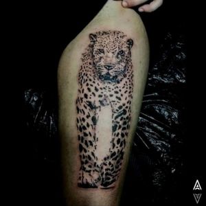Leopard tattoo, only black, realistic tattoo, cool effect tattoo.