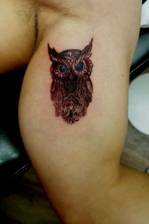 Owl not finished to be continue..