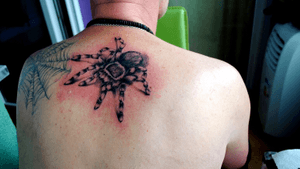 spider#back#tattoo