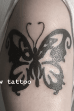 67 Butterfly, I don’t remember exactly the date but it was the first week of July 2018