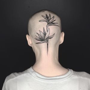 Tattoo by Ciara Havishya #CiaraHavishya #tattoodo #tattoodoapp #tattoodoappartists #besttattoos #awesometattoos #tattoosforgirls #tattoosformen #cooltattoos #flower #floral #birdofparadise #scalptattoo