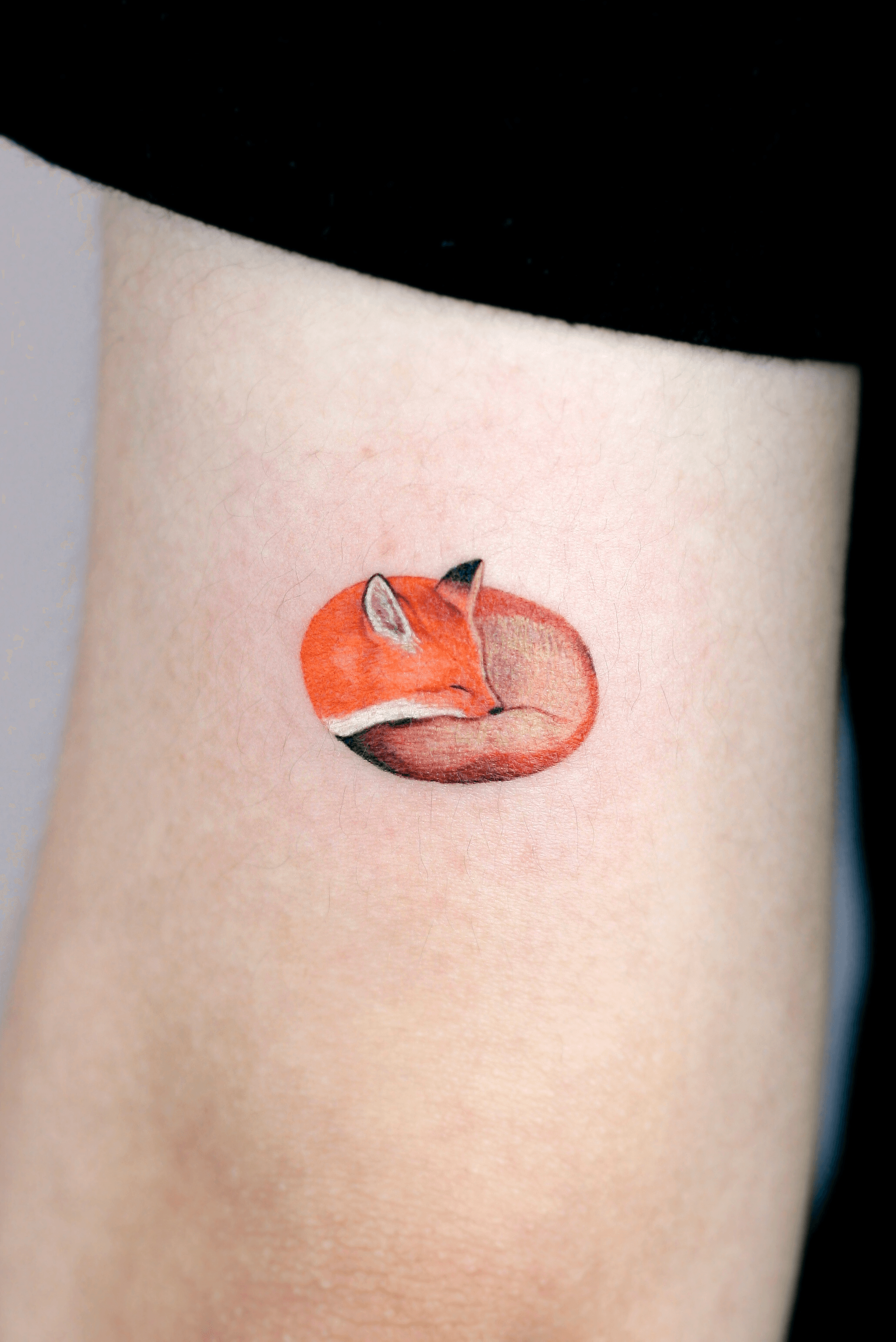 Sleeping fox tattoo by Sasha Tattooing  Tattoogridnet