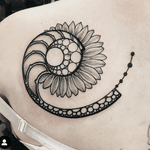 Shell/shapework/sunflower 