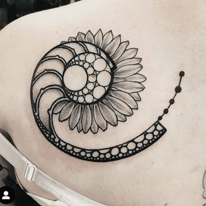 Shell/shapework/sunflower 