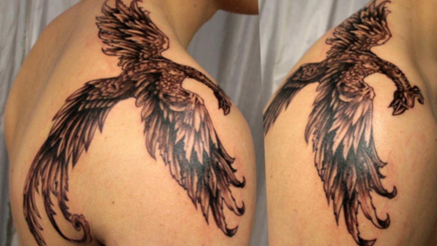 Tattoo uploaded by 🔸️ 𝗞𝗮𝘁𝗲 🔸️ • #PhoenixTattoos #Phoenix #phoenixrising #phoenixtattoo #blackandwhitetattoo #colourtattoo #b&wtattoo #phoenixtattoo #🦅 #tattooideas #wings • Tattoodo Tattoo uploaded by 🔸️ 𝗞𝗮𝘁𝗲 🔸️ • #PhoenixTattoos #Phoenix #phoenixrising #phoenixtattoo #blackandwhitetattoo #colourtattoo #b&wtattoo #phoenixtattoo #🦅 #tattooideas #wings • Tattoodo