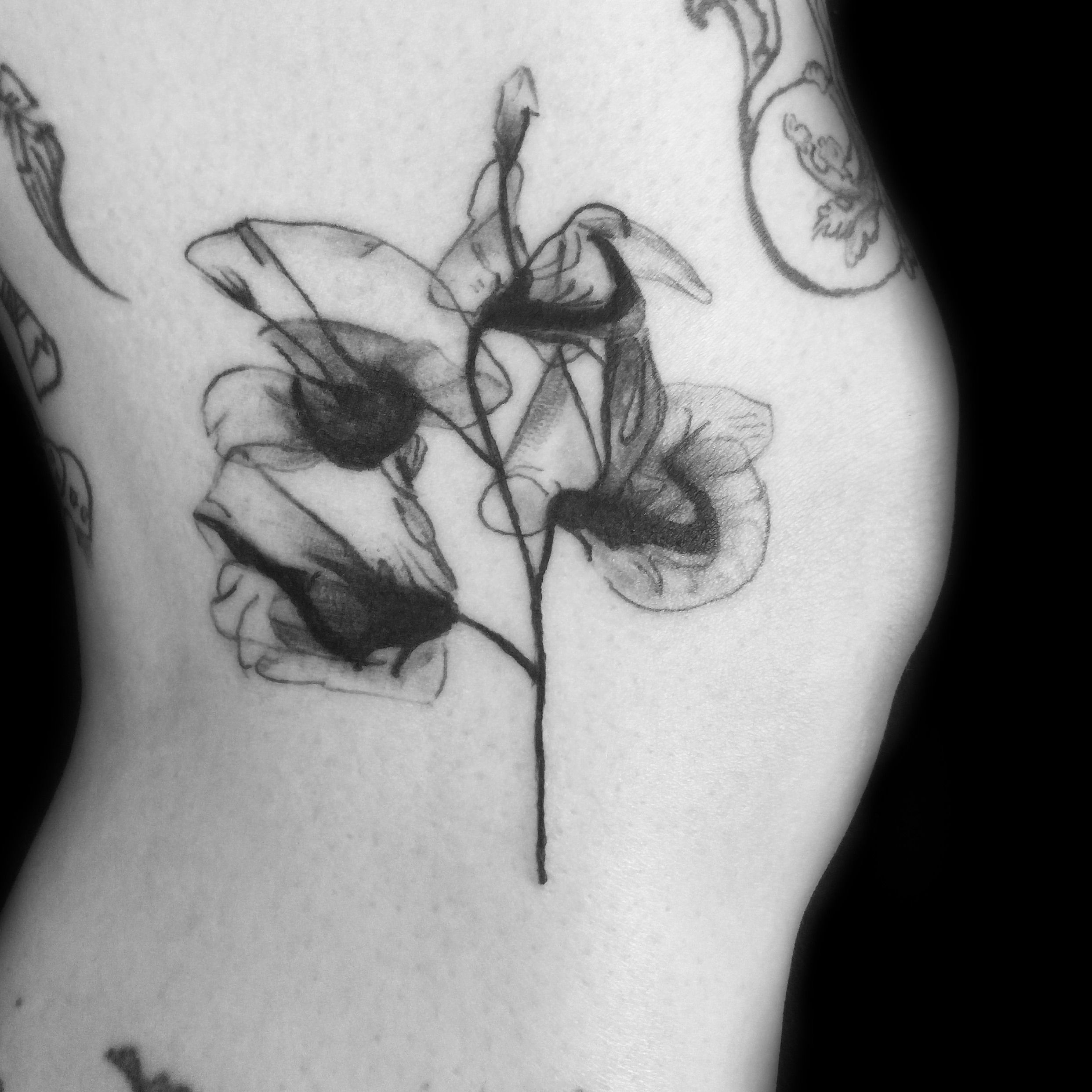 Tattoo uploaded by Poison . Tattoo Parlour • Sweet pea flower #sweetpea  #xray #xtaytattoo #flowers #ornamentaltattoo #lineworktattoo  #blackinktattoo # • Tattoodo