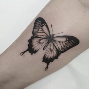Botanical Butterfly black and gray.