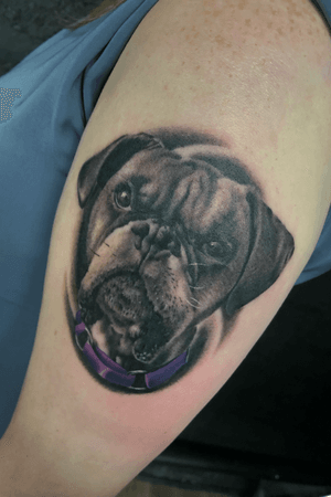 Doggo from earlier, thanks Louise ✌🏼 #bng #bngtattoo #bngtattoos #bngtattooing #bngtattoosociety #thebestbngtattooartists #dailyart #dailytattoo #dailytattoos #instadaily #instadaily😉 #instatattoo #instattoos #portrait #dogportrait #dogportraittattoo
