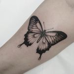 Botanical Butterfly black and gray