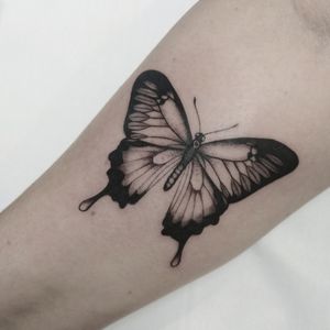 Botanical Butterfly black and gray