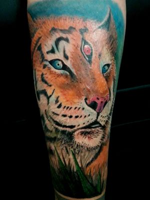 Tiger arm tattoo (David Mera)