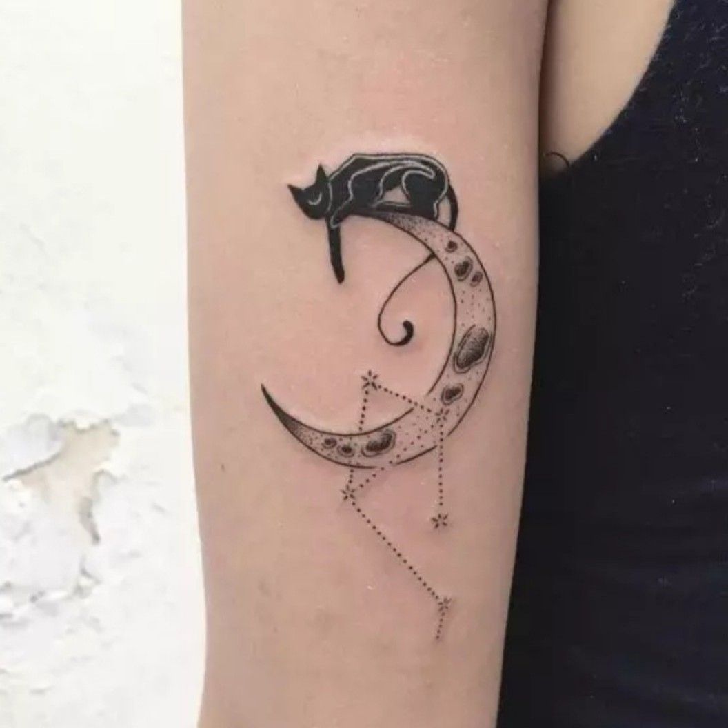 katharine on Twitter Why Is Cat Sitting On Crescent Moon Tattoo So  Famous  cat sitting on crescent moon tattoo  cat sitting on crescent moon  tattoo  Encouraged to be able