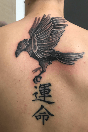 Black crow Who represents death and kanji means destiny
