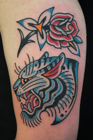 White tiger and rose made today #tattoo #tattoos #traditionaltattoo #colourtattoo #leicester #leicestertatoo #radtrad #topclasstattooing #tradworkers #tradworkerssubmission #besttradtattoos #besttraditionaltattoos #oldlines #traditionalartist #tigertattoo 