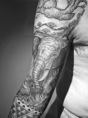 Some more of the Africa sleeve 