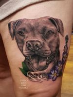 Rebel pet portrait tattoo of pretty pit bull 