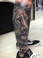 #realism #realistic #lion #tattooanimals #tattooart #ink #legtattoos #cordoba #Argentina #buenavidatattoo 