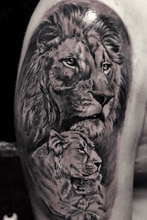instagram.com/krismengiotattoo#krismen #tattoo #blackandgrey #realism #realistic #kharkov #ukraine #lions #bears #liontattoo  #animalskulltattoo #wildanimals #wood