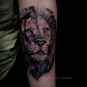 Black and Grey Lion