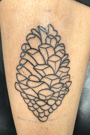 Pine cone outline