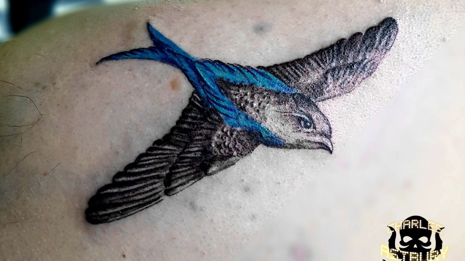 Tattoo uploaded by canvas Astbury • Swallow bird with cancer ribbon • Tattoodo