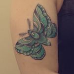 NeoTraditional Moth 