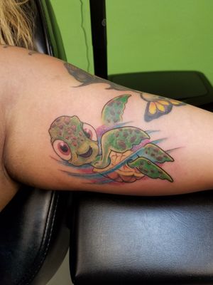 Turtle power! Color and cuteness, come see what we can do for you!