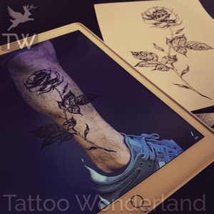 #dotworktattoo #rosetattoo preview by @brooklyntattooartist @tattoowonderland #youbelongattattoowonderland #tattoowonderland #brooklyn #brooklyntattooshop #bensonhurst #midwood #gravesend #newyork #newyorkcity #nyc #tattooshop #tattoostudio #tattooparlor #tattooparlour #customtattoo #brooklyntattooartist #tattoo #tattoos