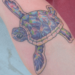 Pacific Sea Turtle