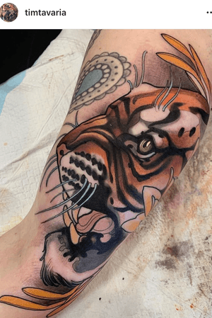 Tiger and water lily by Tim Tavaria, Oculus studio, Melbourne Australia