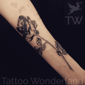 #blackworktattoo #rosetattoo @brooklyntattooartist @tattoowonderland #youbelongattattoowonderland #tattoowonderland #brooklyn #brooklyntattooshop #bensonhurst #midwood #gravesend #newyork #newyorkcity #nyc #tattooshop #tattoostudio #tattooparlor #tattooparlour #customtattoo #brooklyntattooartist #tattoo #tattoos #blackworkrose 