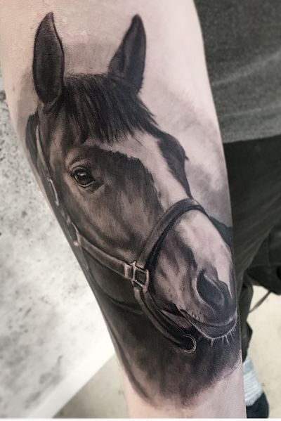 Forearm Black Horse Tattoo  Horse tattoo, Horse tattoo design, Small horse  tattoo