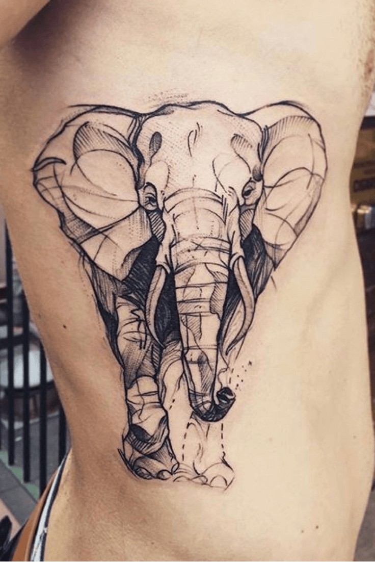 elephant sketch tattoo｜TikTok Search