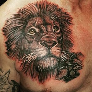 Lion #lionking #lion #liontattoo #lionshead 