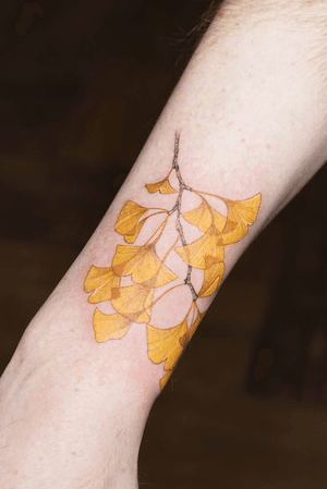 Fallen ginkgo leaves #colortattoo #fineline #tattoo #tattooartist #tattooist_silo #floral #floraltattoo 
