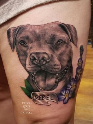 Pit bull portrait tattoo 