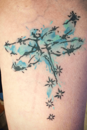 Watercolour dragon fly, healed :)